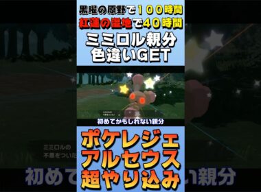【色違い】ミミロルオヤブンの色違いを初めてゲットした日【ポケモンレジェンズアルセウス】