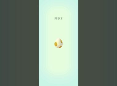 【Pokémon GO】 5km Egg Snom GET✨