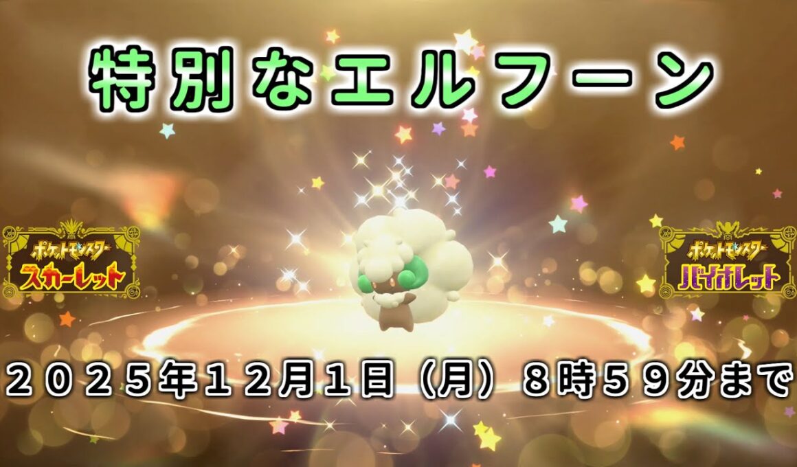 【ポケモン SV ふしぎなおくりもの】期間限定 特別なエルフーン 配布 あいことば  育成済【ポケモン スカーレット バイオレット  シリアルコード】