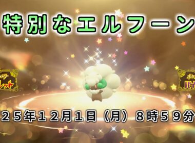 【ポケモン SV ふしぎなおくりもの】期間限定 特別なエルフーン 配布 あいことば  育成済【ポケモン スカーレット バイオレット  シリアルコード】