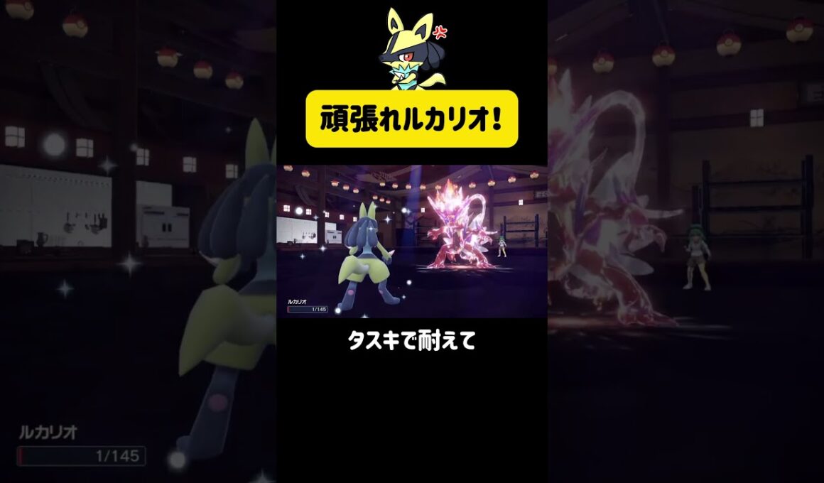 頑張れルカリオ！ #ポケモンsv