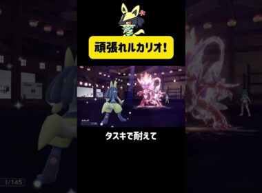 頑張れルカリオ！ #ポケモンsv