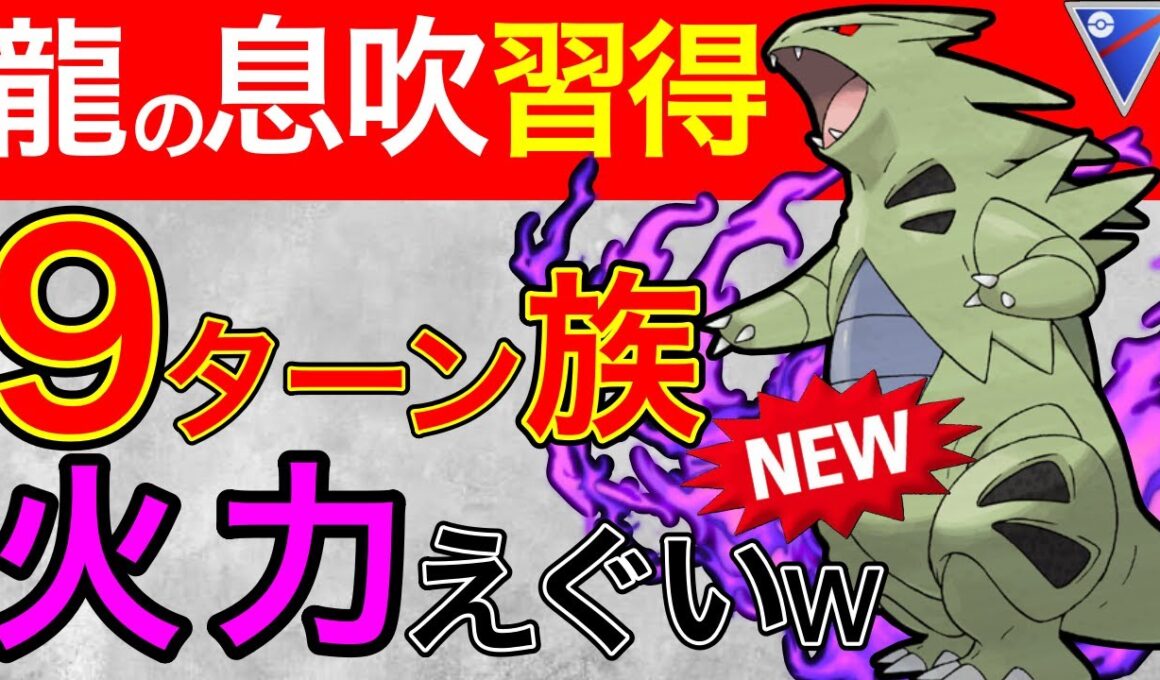 【高回転】等倍でほぼワンパン！？イカした火力をしてるSバンギラス！！