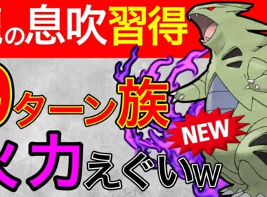 【高回転】等倍でほぼワンパン！？イカした火力をしてるSバンギラス！！