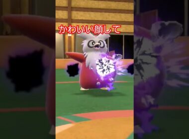 【ポケモンsv】デリバードかわいいのにみちづれサンタでした笑 #ポケモンsv #ポケモンスカーレットバイオレット #デリバード