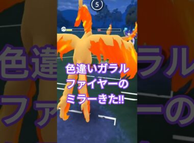 ガラルファイヤーあるなら使ったほうがいいよ#ポケモンgo#ポケモンgo対戦#gbl