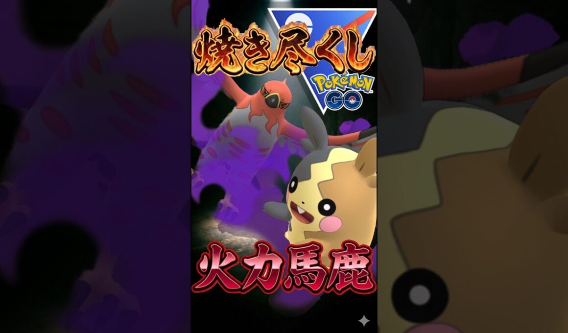 vsモルペコの火力【ポケモンGO】【ポケットモンスター】