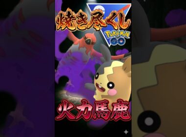 vsモルペコの火力【ポケモンGO】【ポケットモンスター】