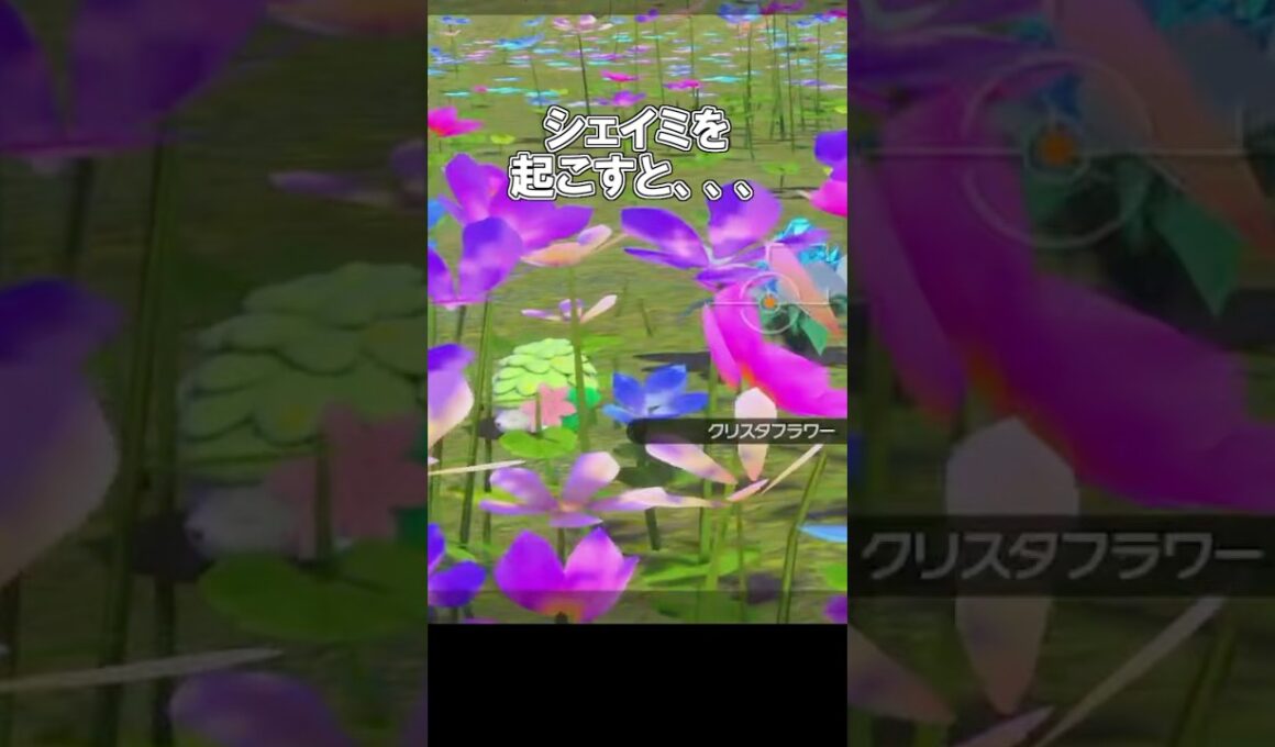 ｢シェイミを起こすと、、▼」　#ポケモン　#ポケモンスナップ　#ポケスナ　#shorts