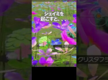 ｢シェイミを起こすと、、▼」　#ポケモン　#ポケモンスナップ　#ポケスナ　#shorts