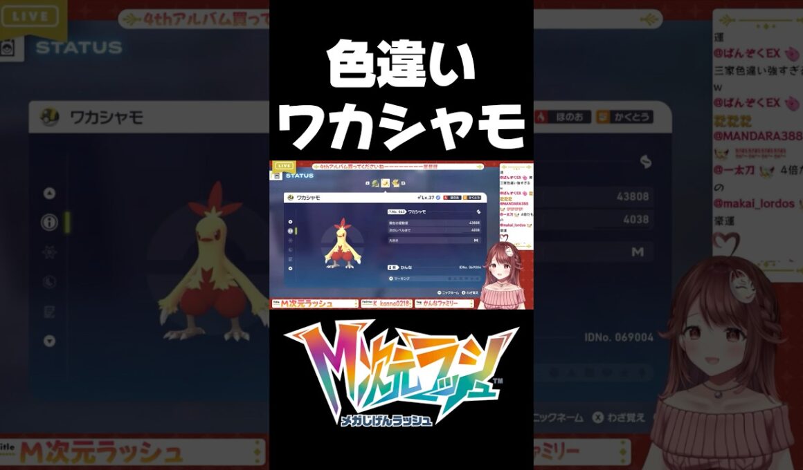 色違いワカシャモGETして大歓喜！ #shorts