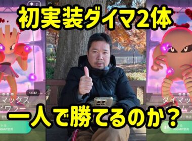 【ポケモンGO】ダイマエビワラーサワムラーにソロで勝てるのか？