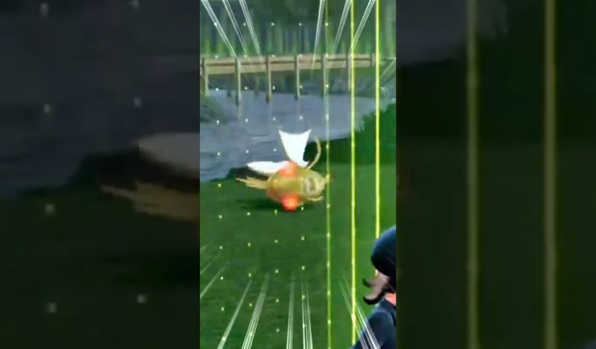 色違いオヤブンコイキングをルアボで捕まえた男【ポケモンZA】