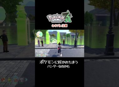 本体を狙うな #ポケモンZA #ゴース #シシコ