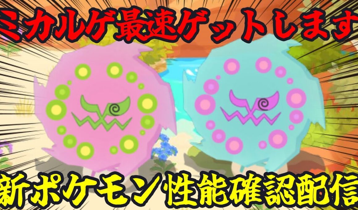 イワハガ狙いトープM20リサーチ→新ポケモン最速ゲット＆考察配信 14:30～