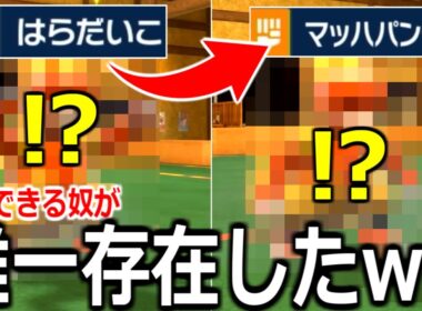 夢の最強コンボ"はらだいこ"→"マッハパンチ"を唯一実行できるポケモンwwwwww【ポケモンSV実況】