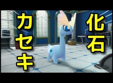 【ポケモンZA】化石ポケモンの入手方法 プテラ チゴラス アマルス『Pokémon LEGENDS Z-A』ポケモンレジェンズZA