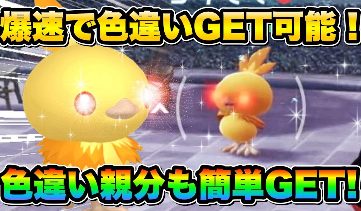 【ポケモンZA色違い厳選】色違い親分アチャモを効率的に手に入れる方法！