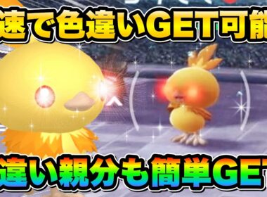 【ポケモンZA色違い厳選】色違い親分アチャモを効率的に手に入れる方法！