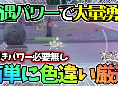 【効率超up】DLCでめちゃくちゃ簡単になった色違い厳選がこちら【レジェンズza】