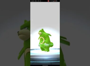 色違いヒメグマ進化の瞬間