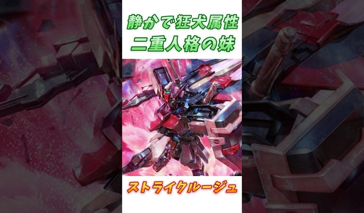 【ガンダムSEED】同じ機体なのに戦闘スタイルが全然違う、ストライクルージュ！　#ガンダム #解説   #ガンダムseed #gジェネ #gundam