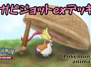 【ポケモンアニメーション】メガピジョットexデッキ