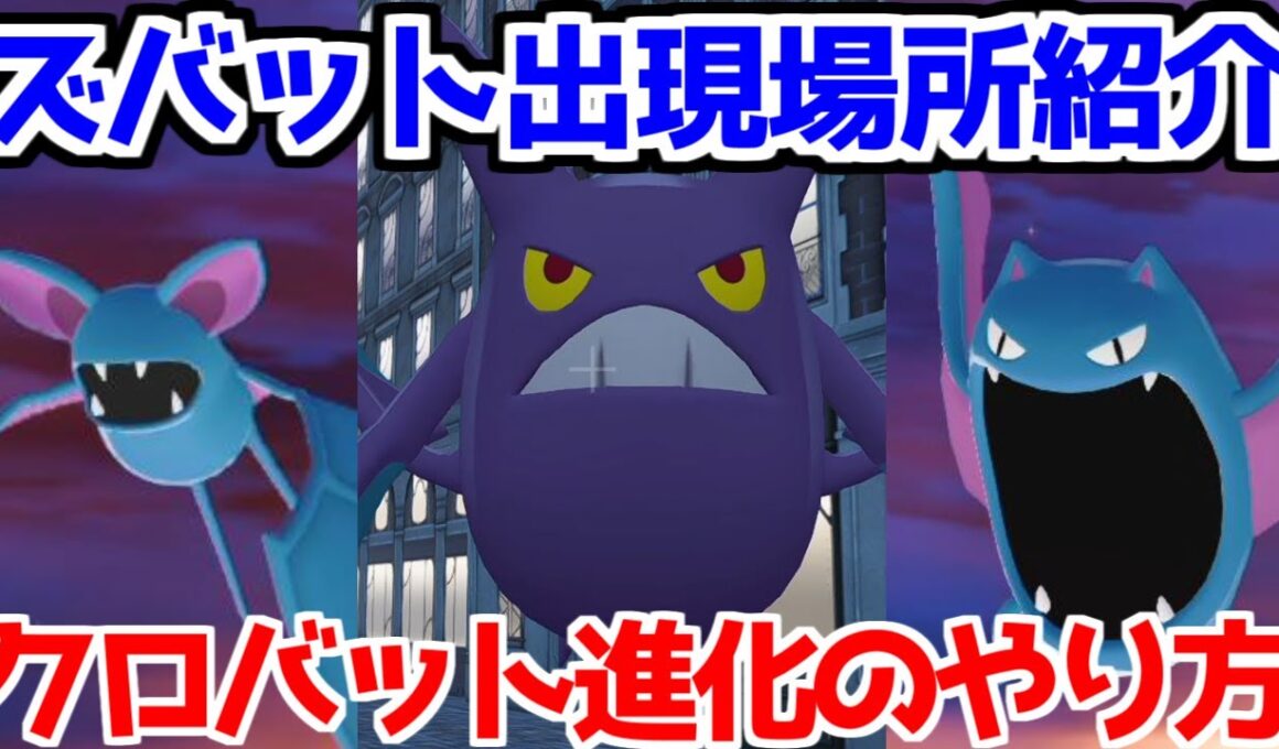 【ポケモンZA】ズバット ゴルバット クロバット  出現場所 入手方法 進化方法  攻略 【M次元ラッシュ】【Pokémon LEGENDS ジガルデ ポケモン レジェンズ ジガルデ】
