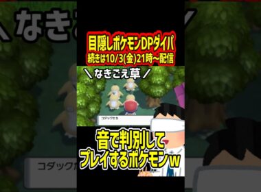 コダックって 鳴く?? 鳴かない??ｗｗｗｗｗ【目隠しポケモンDPダイパ】