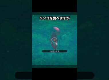 【食物繊維】コイキングに襲いかかる、自然の厳しさ #ポケモン #newポケモンスナップ