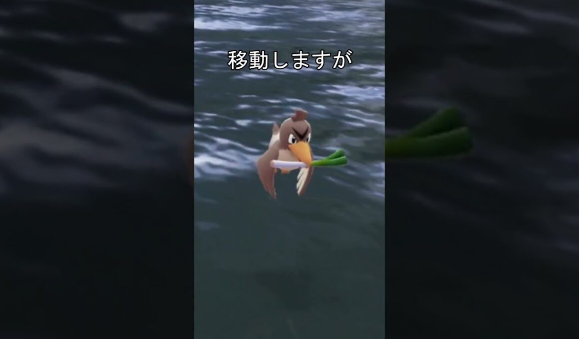 カモネギの移動方法　走る #ポケモン #ポケモンza #カモネギ