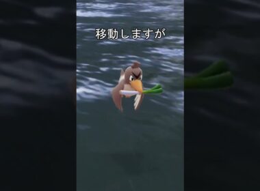カモネギの移動方法　走る #ポケモン #ポケモンza #カモネギ