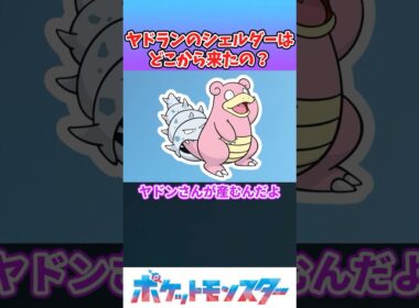 【ポケモン】ヤドランのシェルダーの秘密
