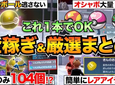 【ポケモンZA M次元ラッシュ】これが最高率！色違い厳選・異次元きのみ・オシャボ・きんのおうかん稼ぎのやり方をまとめて紹介！