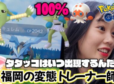 【個体値100✨️】福岡の変態ポケモンGOトレーナー師匠とキュレム＆ダイマックスエビワラーサワムラー巡り‼️#ポケモンGO  #pokemongo #Shorts