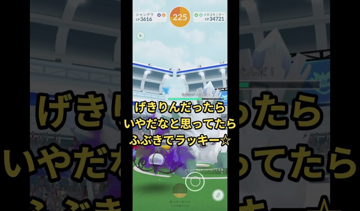 お手頃だったメガユキノオーにソロで挑戦