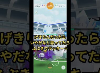 お手頃だったメガユキノオーにソロで挑戦