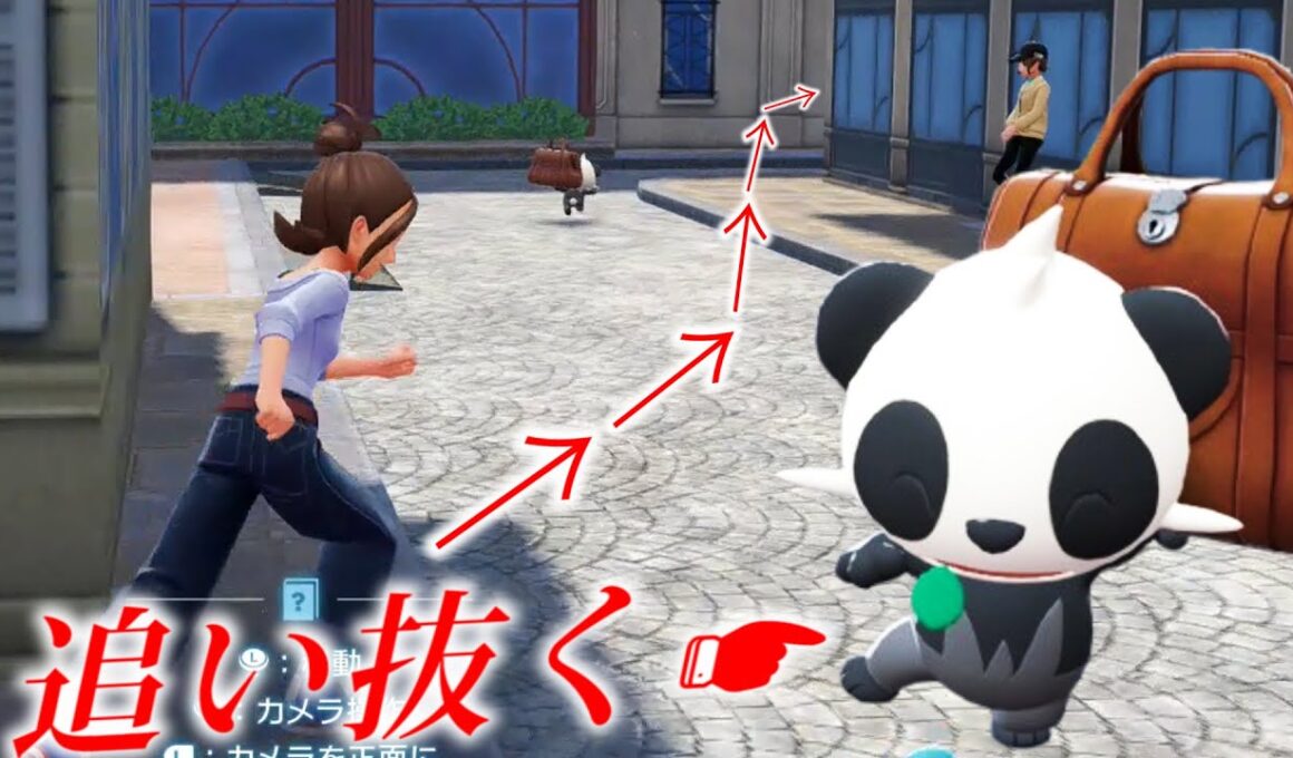 追い抜けないシーンで追い抜く方法【ポケモンZA】カバン泥棒ヤンチャム