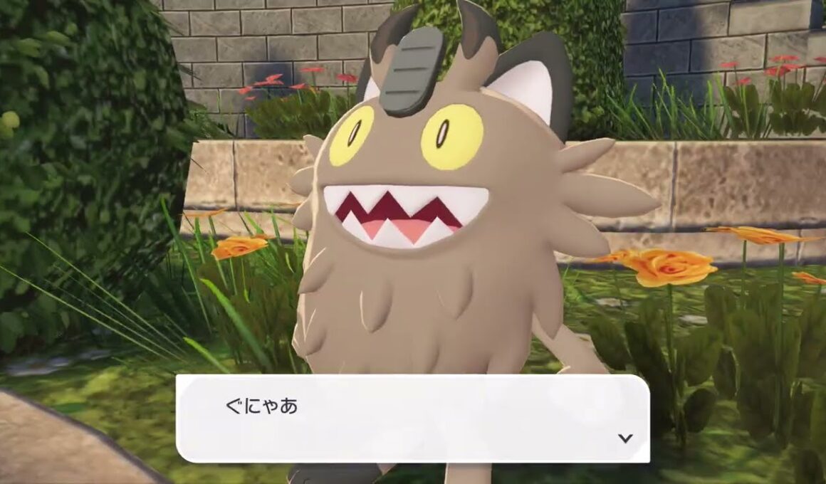 ガラルニャースと戯れるにゃん/ポケモンレジェンズZA