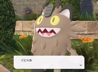 ガラルニャースと戯れるにゃん/ポケモンレジェンズZA