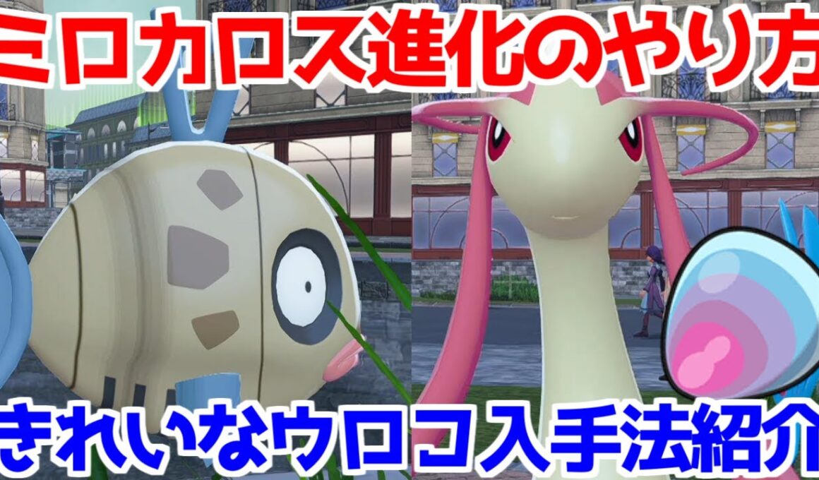 【ポケモンZA】ヒンバス ミロカロス きれいなウロコ 出現場所 入手方法 進化方法  攻略 【M次元ラッシュ】【Pokémon LEGENDS ジガルデ ポケモン レジェンズ ジガルデ】