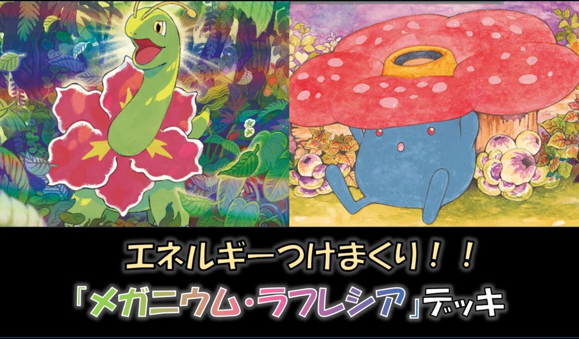 【ジムバ優勝】『メガニウム・ラフレシア』デッキをご紹介！