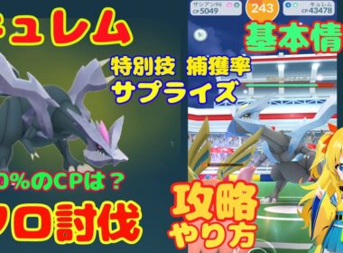 キュレムのソロ討伐！攻略ポイントと対策情報を解説～1人でも勝てる方法