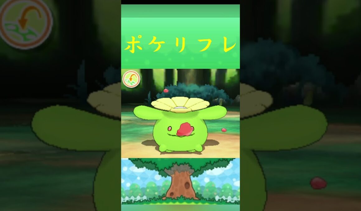 ポケモン ポポッコ ポケリフレ ポケパルレ #ポケモン #Pokemon  #3DS #ポケモン技 #ポケモンsv #ポケモン #ふれあい #キャンプ #カレー #サンドイッチ #ピクニック