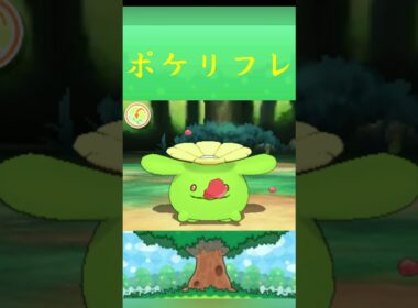 ポケモン ポポッコ ポケリフレ ポケパルレ #ポケモン #Pokemon  #3DS #ポケモン技 #ポケモンsv #ポケモン #ふれあい #キャンプ #カレー #サンドイッチ #ピクニック