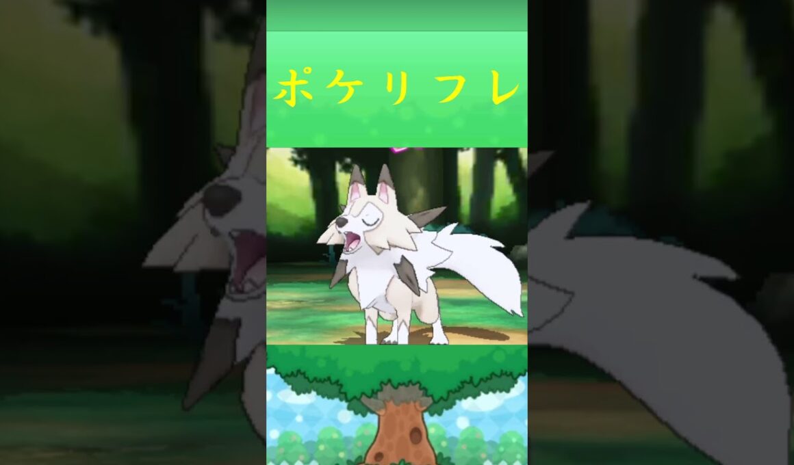 ルガルガン(まひるのすがた)ポケリフレ ポケパルレ #Pokemon  #3DS #ポケモンsv #nintendoswitch #nintendoswitch2 #pokemonlegendsza