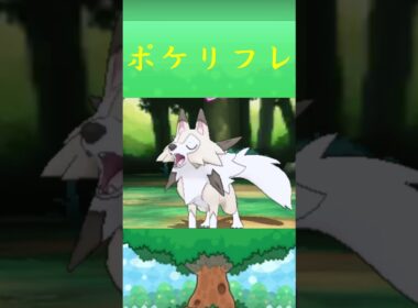 ルガルガン(まひるのすがた)ポケリフレ ポケパルレ #Pokemon  #3DS #ポケモンsv #nintendoswitch #nintendoswitch2 #pokemonlegendsza