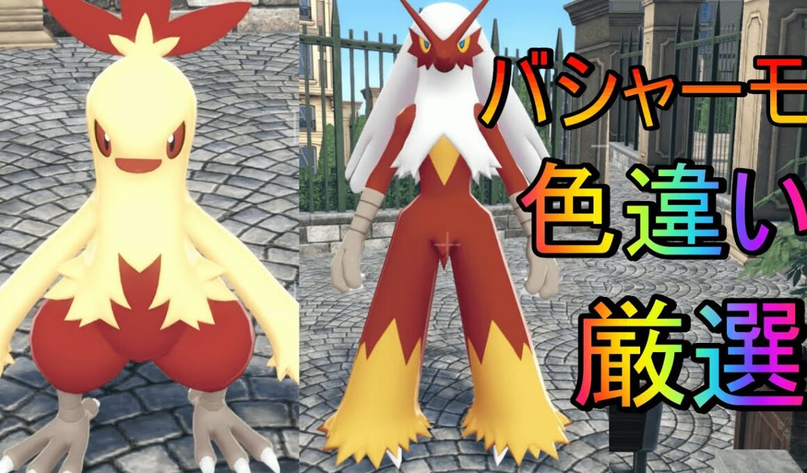 【ポケモンレジェンズZA】ホウエン御三家色違い厳選簡単にワカシャモ、バシャーモ入手wwwww