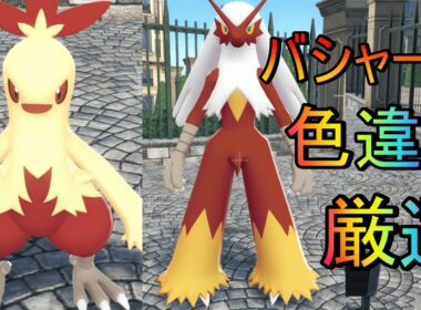 【ポケモンレジェンズZA】ホウエン御三家色違い厳選簡単にワカシャモ、バシャーモ入手wwwww