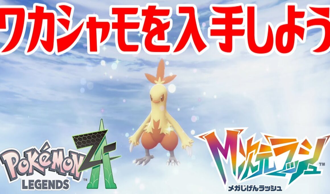 【ポケモンZ-A】ワカシャモを入手しよう 進化入手【Pokémon LEGENDS Z-A M次元ラッシュ】